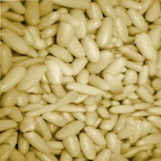 Pine Nut