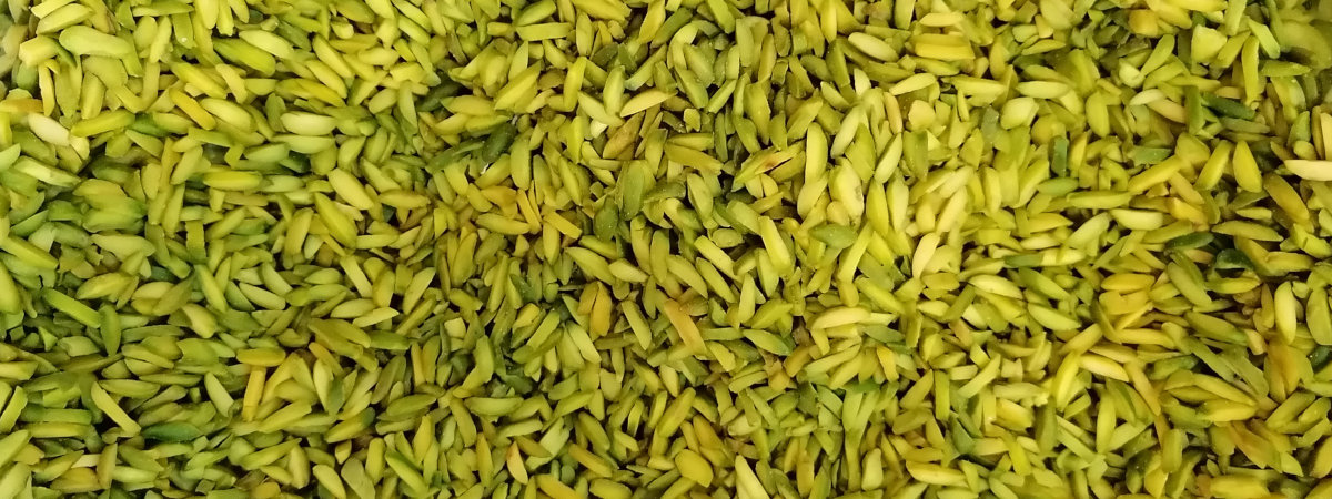 Pistachios For Bakery & Pastries