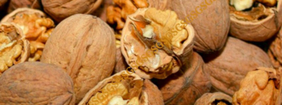 Walnuts In Shell
